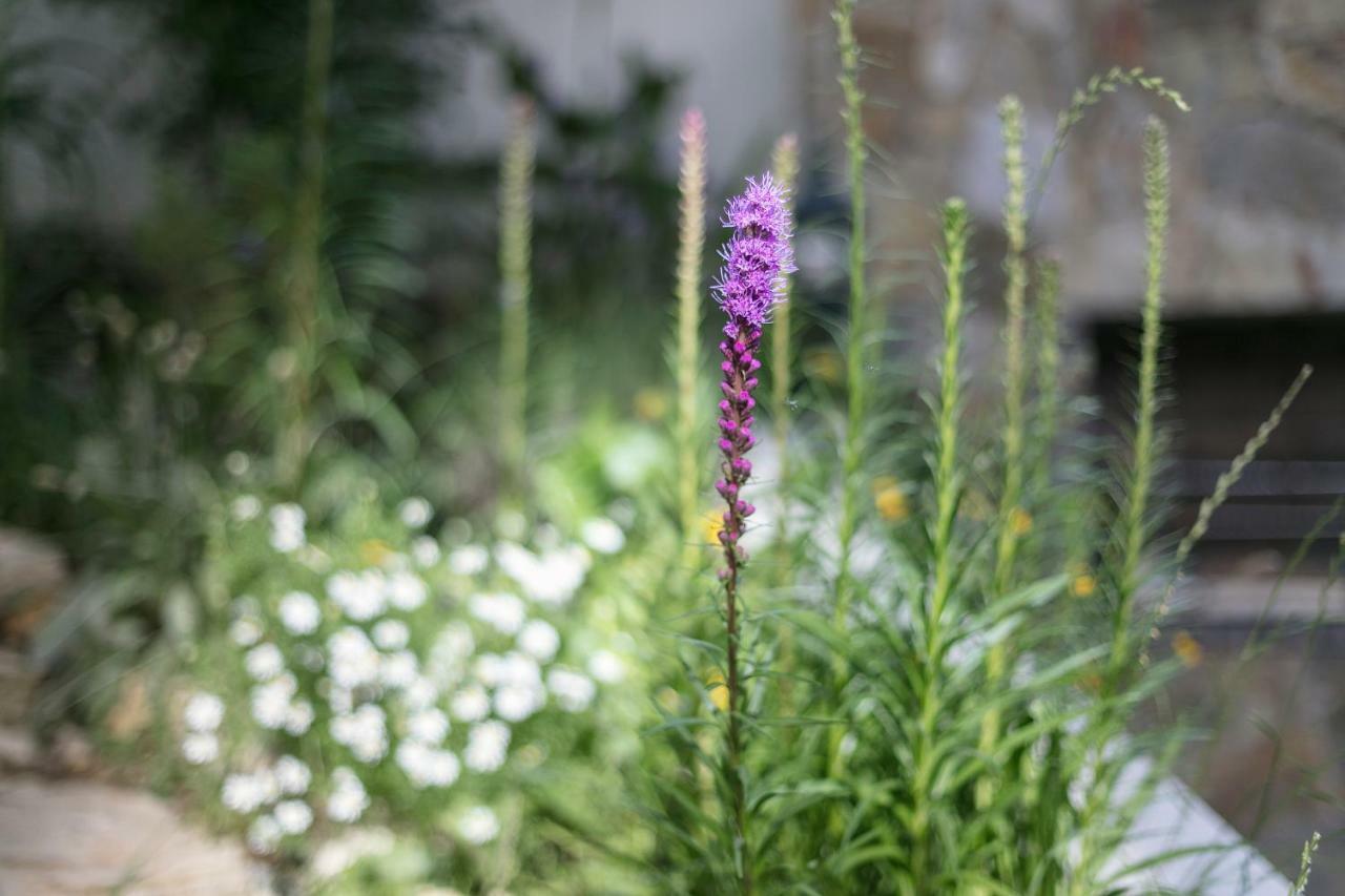 Fragrant Garden Apartment Lizbona Zewnętrze zdjęcie